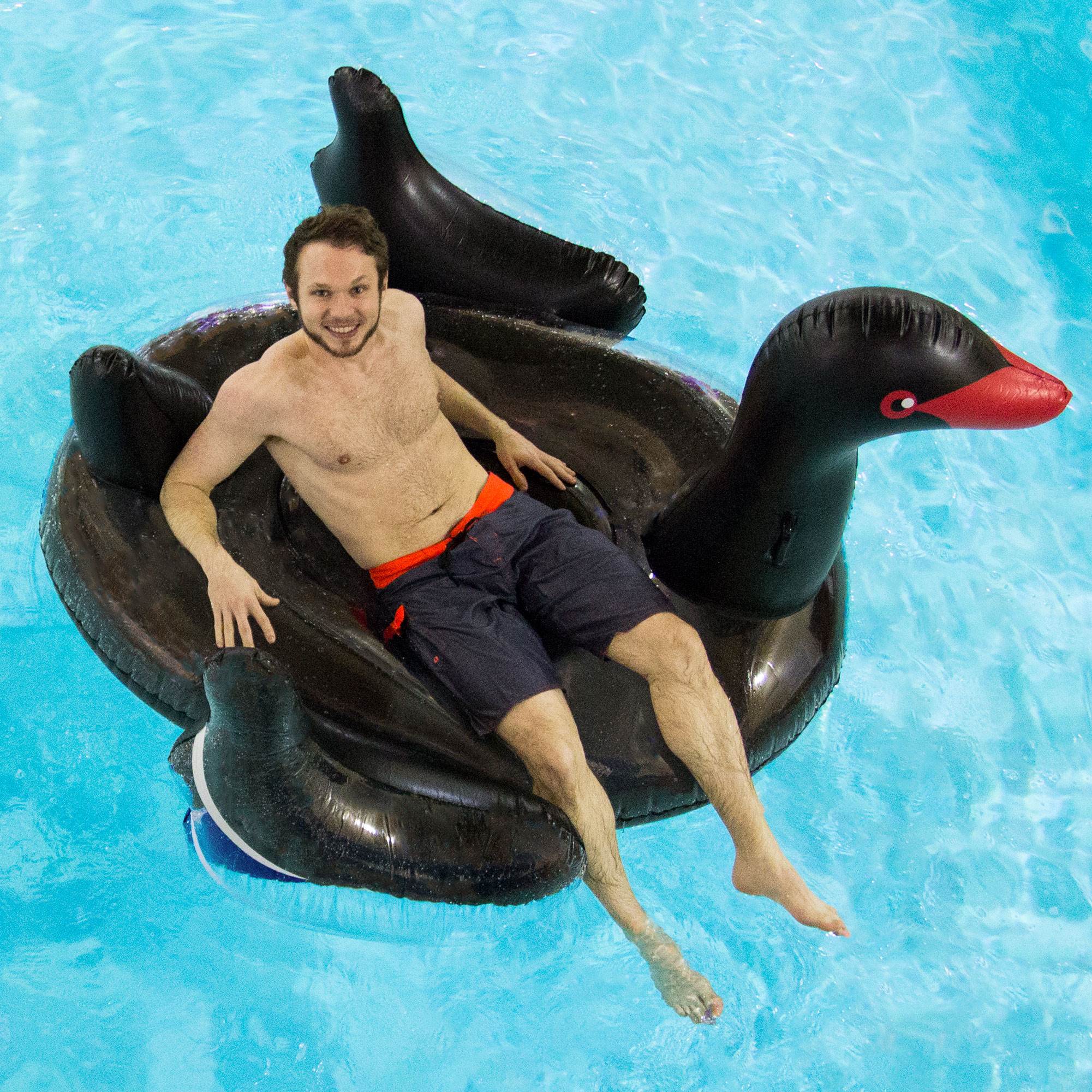 Swimline 90628 Giant Inflatable Ride On 75 Inch Opaque Black Swan Pool Float 