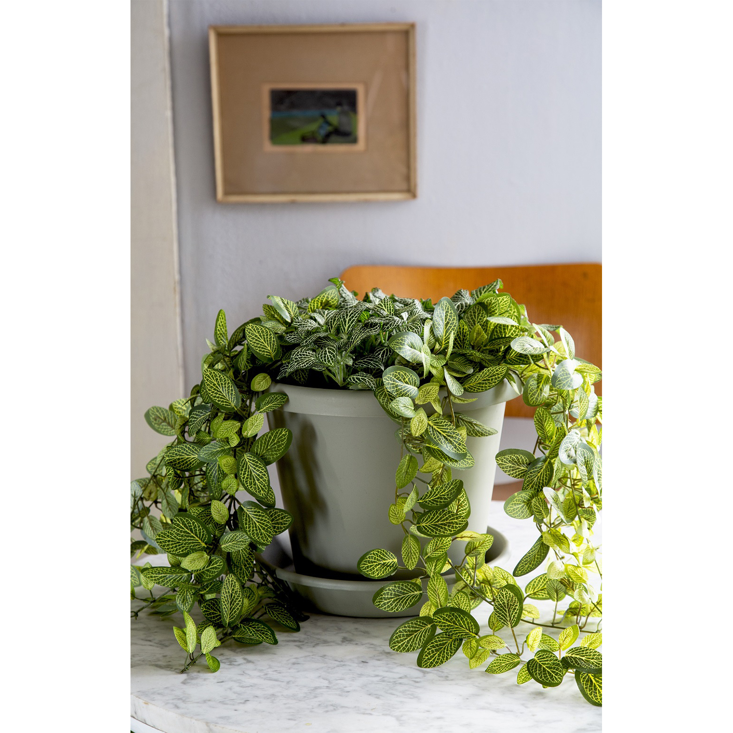 Chocolate The HC Companies 24 Inch Indoor and Outdoor Classic Durable Plastic Flower Pot Container Garden Planter with Molded Rim and Drainage Holes Chocolate The HC Companies 24 Inch Indoor and Outdoor Classic Durable Plastic Flower Pot Container Garden Planter with Molded Rim and Drainage Holes