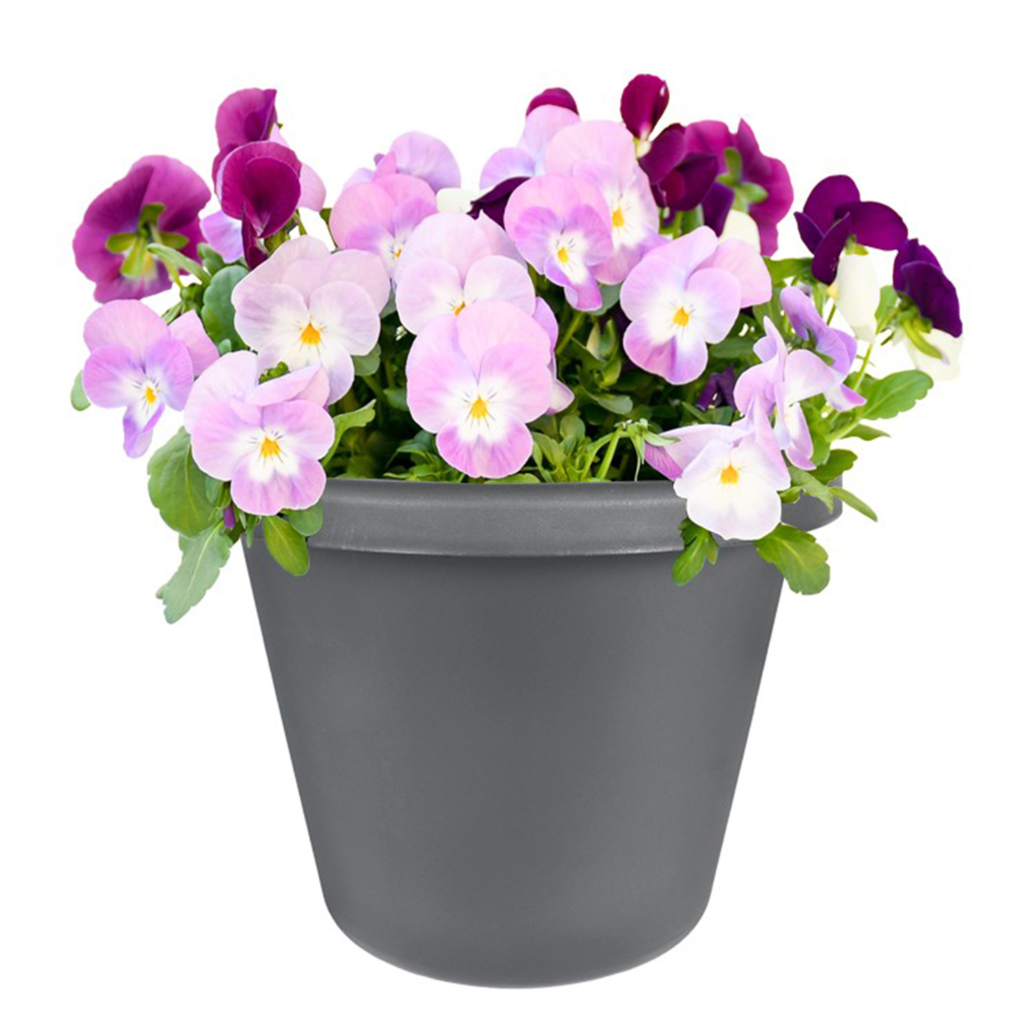 The HC Companies 24 Inch Indoor and Outdoor Classic Durable Plastic Flower Pot Container Garden Planter with Molded Rim and Drainage Holes Chocolate The HC Companies 24 Inch Indoor and Outdoor Classic Durable Plastic Flower Pot Container Garden Planter with Molded Rim and Drainage Holes Chocolate