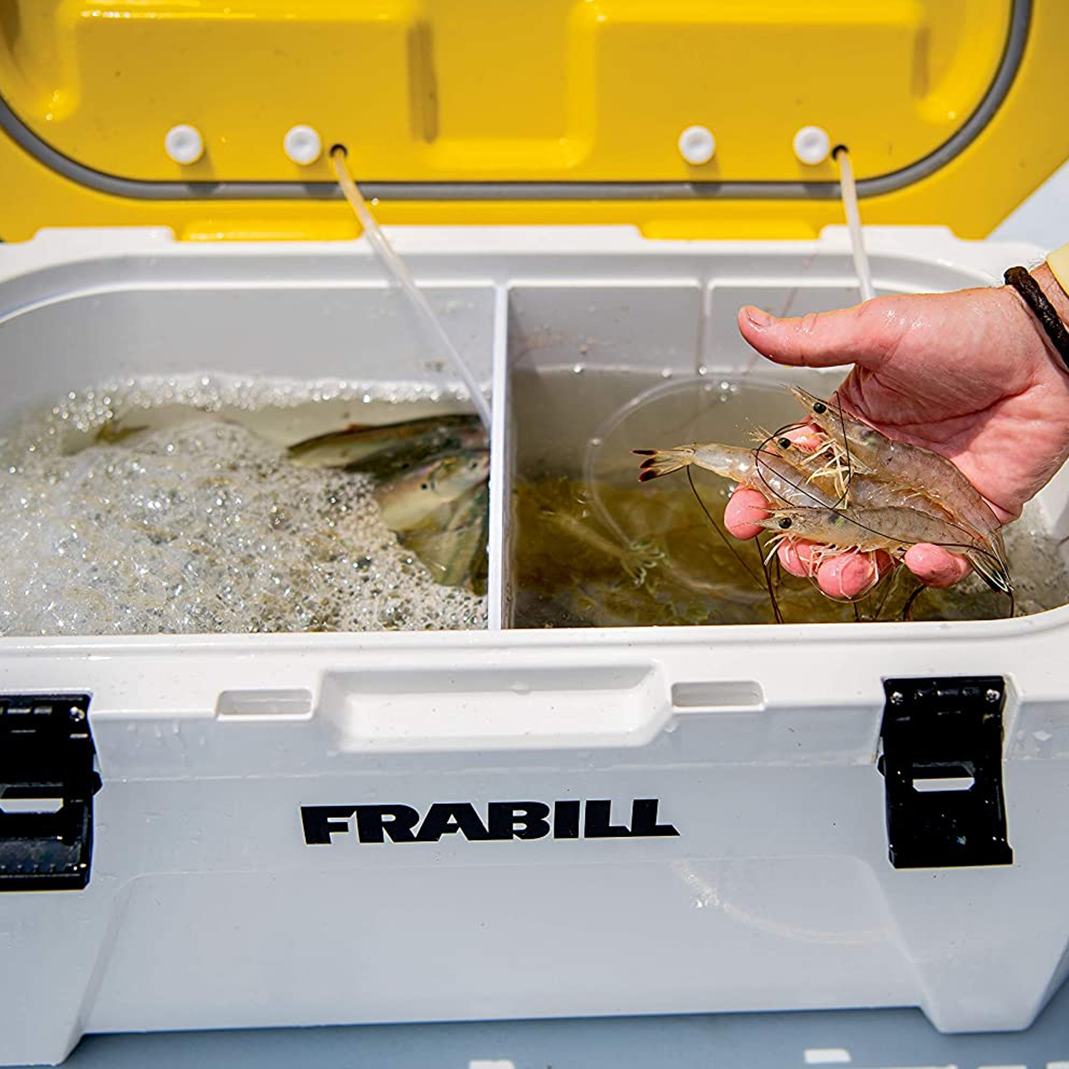 frabill bait cooler