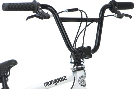 mongoose scan r20