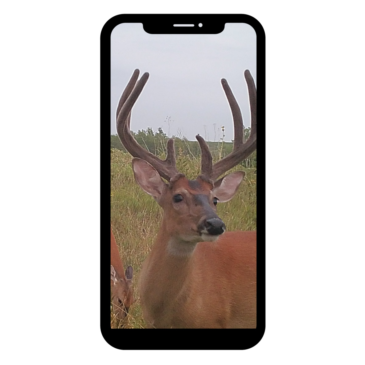 browning defender wireless trail camera