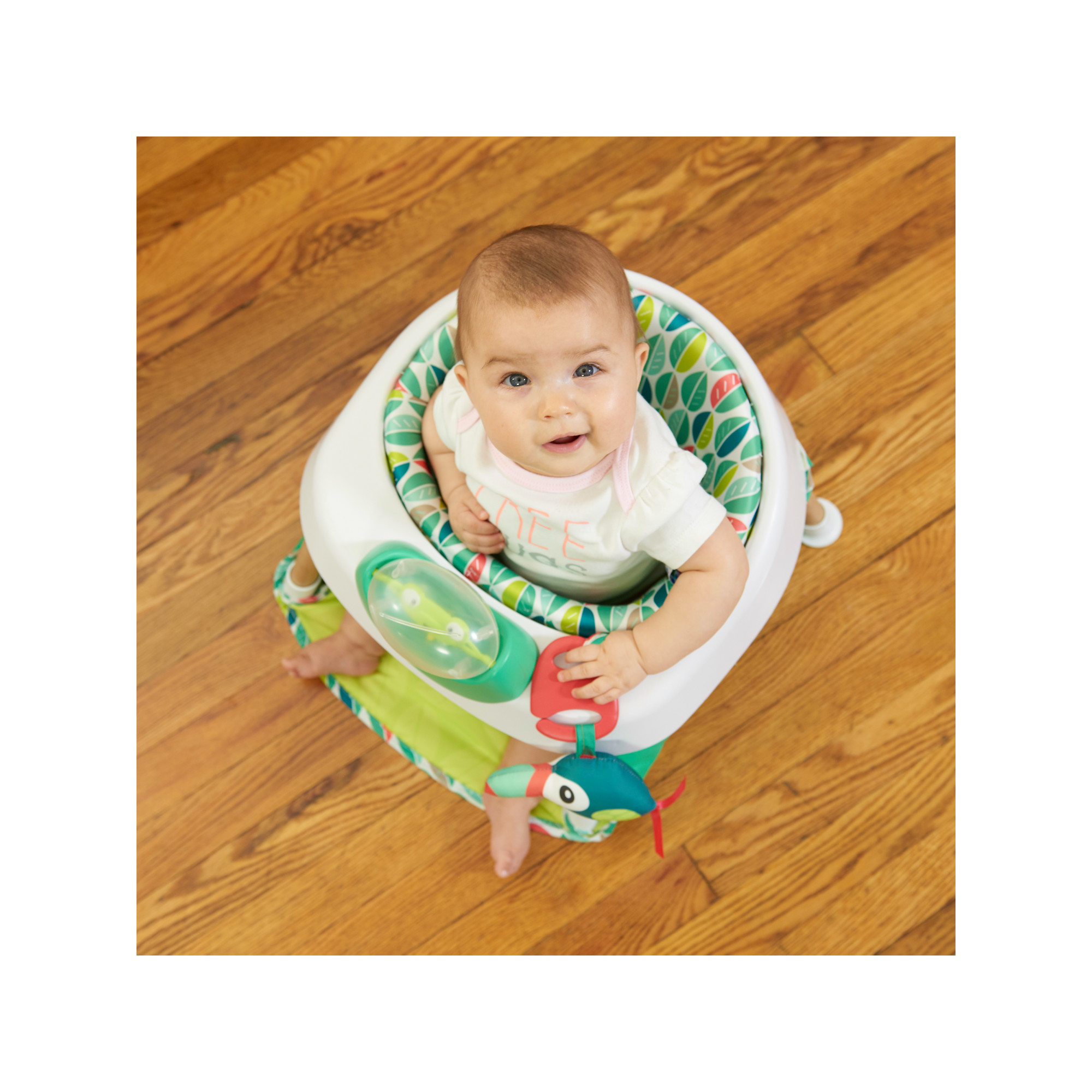 evenflo exersaucer tiny tropics