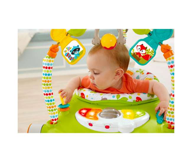 CBV62 Fisher Price Woodland Friends Baby Jumperoo Infant Play Bouncer (Open Box)