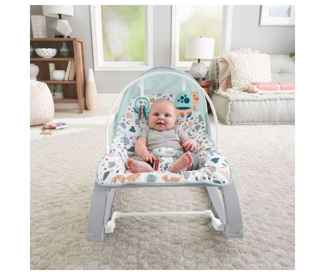 GHY58 Fisher Price Infant to Toddler Portable Deluxe Baby Seat Rocker, Pacific Pebble