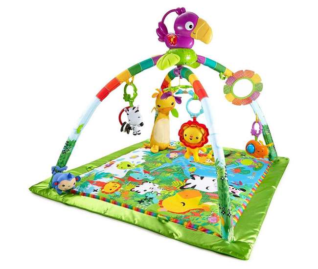 fisher price deluxe play gym