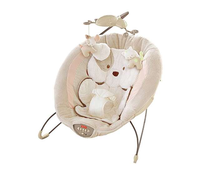 fisher price sweet snugapuppy bouncer