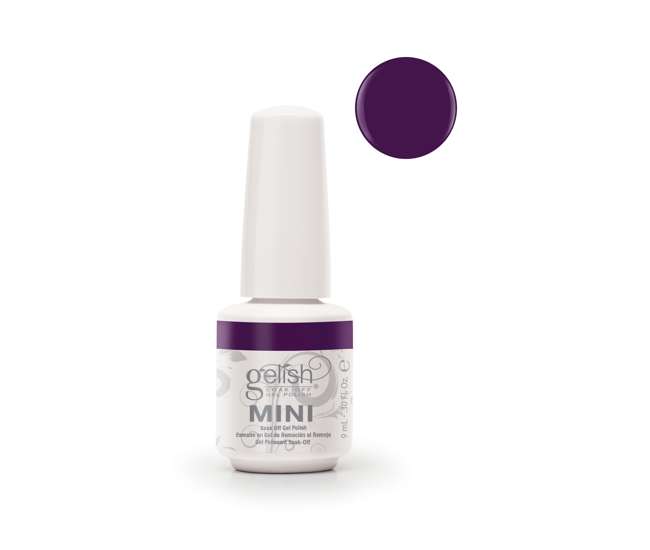 01755-BASIX + 1900116-6PPACK2 + 1900115-6PACK1 Gelish Basix Kit with Mini Kung Fu Flair and Sassy Intergalactic Glam Gel Polish