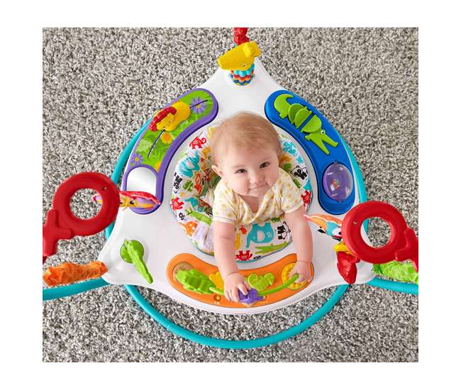 FFJ00 Fisher-Price Colorful Light Up Comfy Animal Activity Baby Jumperoo Bouncer Toy