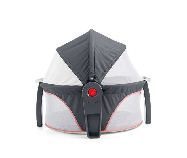 GKH69 Fisher Price GKH69 2-in-1 Portable On-The-Go Baby Dome Play Area, Rosy Windmill