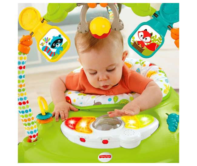 CBV62 Fisher Price Woodland Friends Baby Jumperoo Infant Play Bouncer (Open Box)