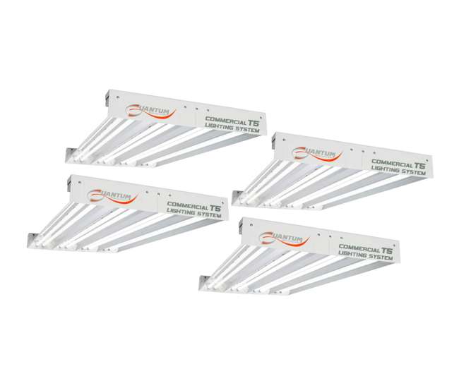 quantum badboy t5 grow lights