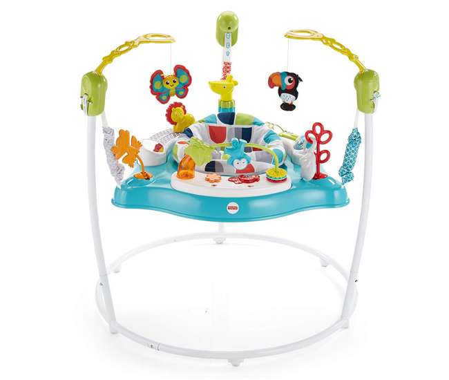 fisher price baby bouncer 4897