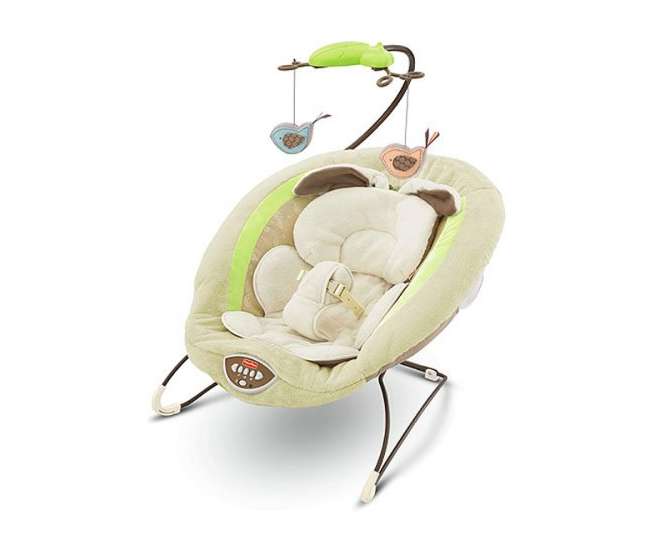 fisher price baby bouncer weight limit