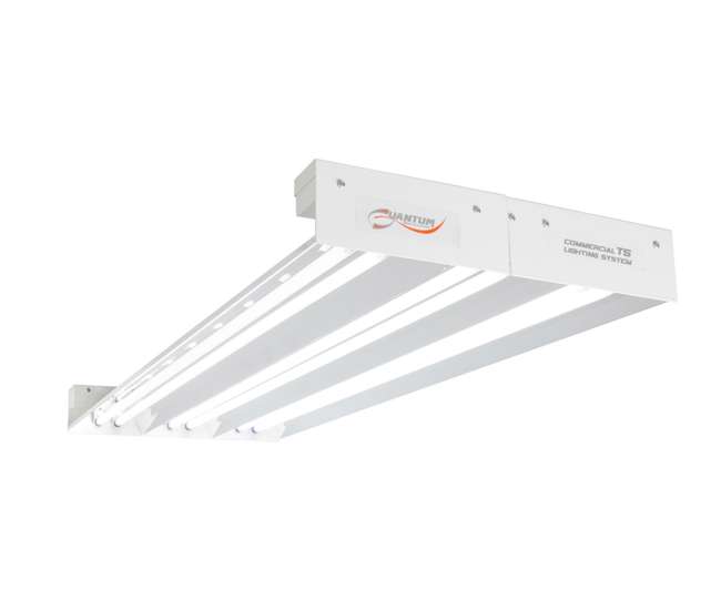 bad boy t5 grow light