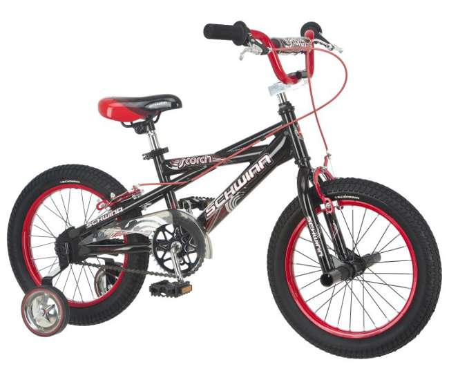 schwinn scorch