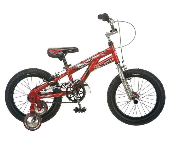 schwinn scorch