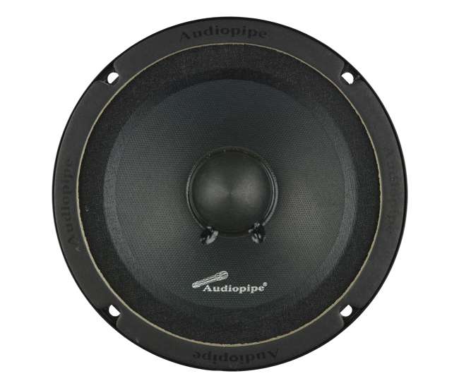 speaker mid low