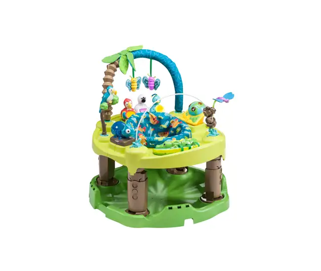 life in the amazon exersaucer