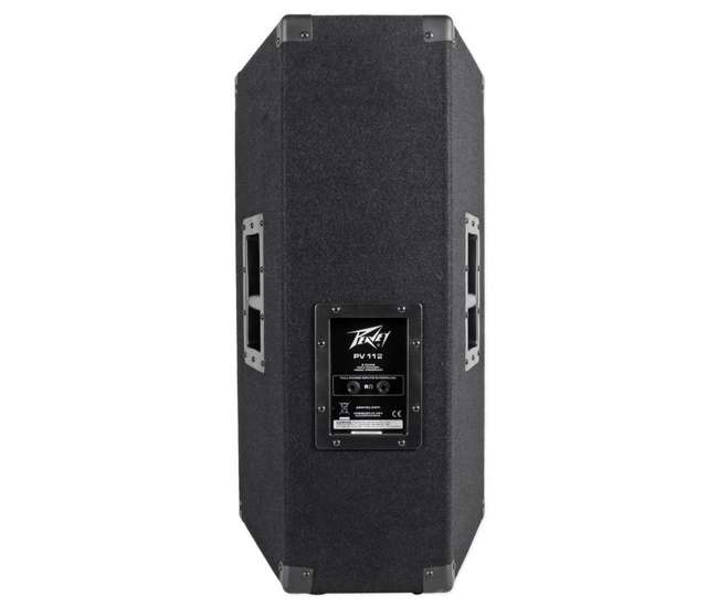 peavey 12 monitor speaker