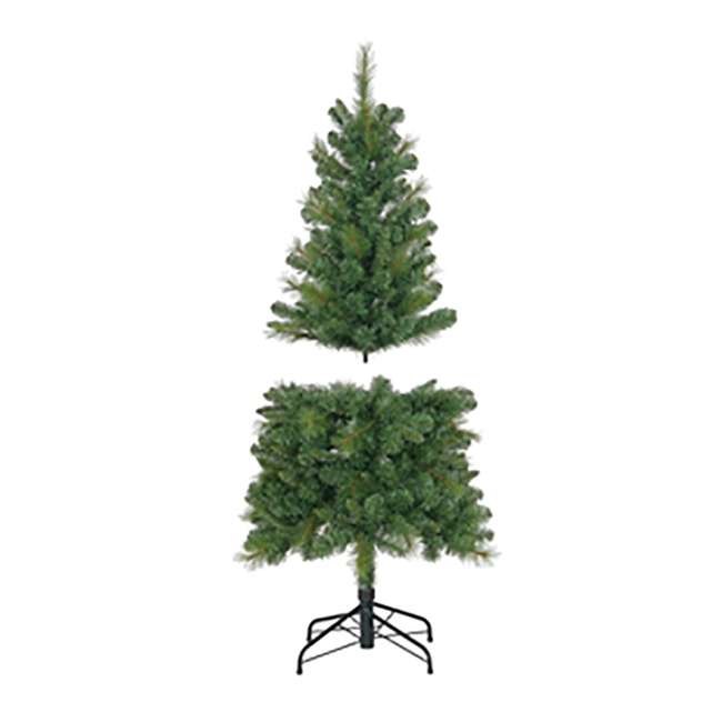 Evergreen Classics 5