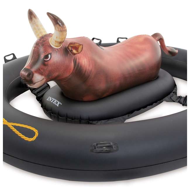bull for pool