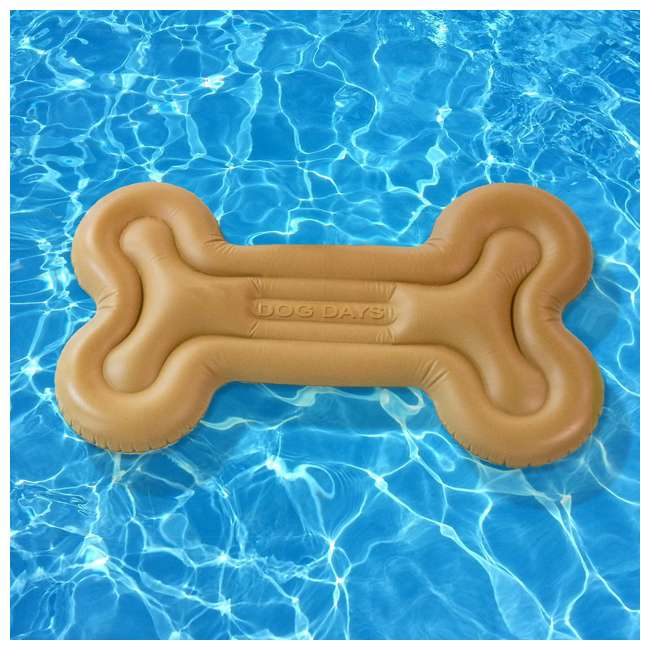 dog swim float