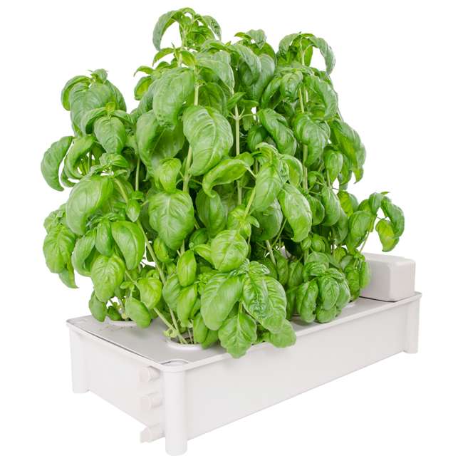 Hydrofarm Salad Box Hydroponic Salad Greens Garden Kit GCSB