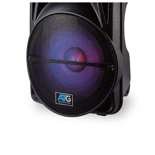 AudiotoGo Portable 12Inch Speaker System (2 Pack) ATGDJ12