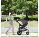 2032493-U-A Graco Modes 3 Essentials LX Infant Travel System, Palmer (Open Box)