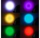CHS-25 + 8 x SLIM-PAR64 + 6 x DMX3P10FT + 2 x DMX3 Chauvet Bag (2 Pack) & LED (8 Pack) & 10' Cable (6 Pack) & 25' Cord (2 Pack)