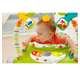 CBV62 Fisher Price Woodland Friends Baby Jumperoo Infant Play Bouncer (Open Box)