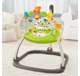 CBV62 Fisher Price Woodland Friends Baby Jumperoo Infant Play Bouncer (Open Box)