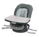 2002804 Graco 2002804 Swivi Seat 3-in-1 Baby Toddler Booster Seat with Tray, Brinley