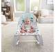 GHY58 Fisher Price Infant to Toddler Portable Deluxe Baby Seat Rocker, Pacific Pebble