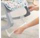 GKH64 Fisher Price GKH64 Infant to Toddler Portable Baby Seat Rocker, Pacific Pebble