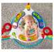 FFJ00 Fisher-Price Colorful Light Up Comfy Animal Activity Baby Jumperoo Bouncer Toy