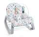 GKH64 Fisher Price GKH64 Infant to Toddler Portable Baby Seat Rocker, Pacific Pebble