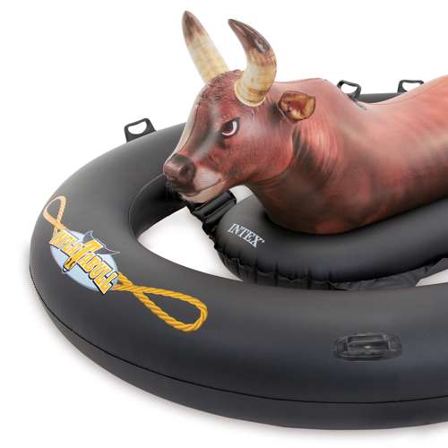 bull for pool
