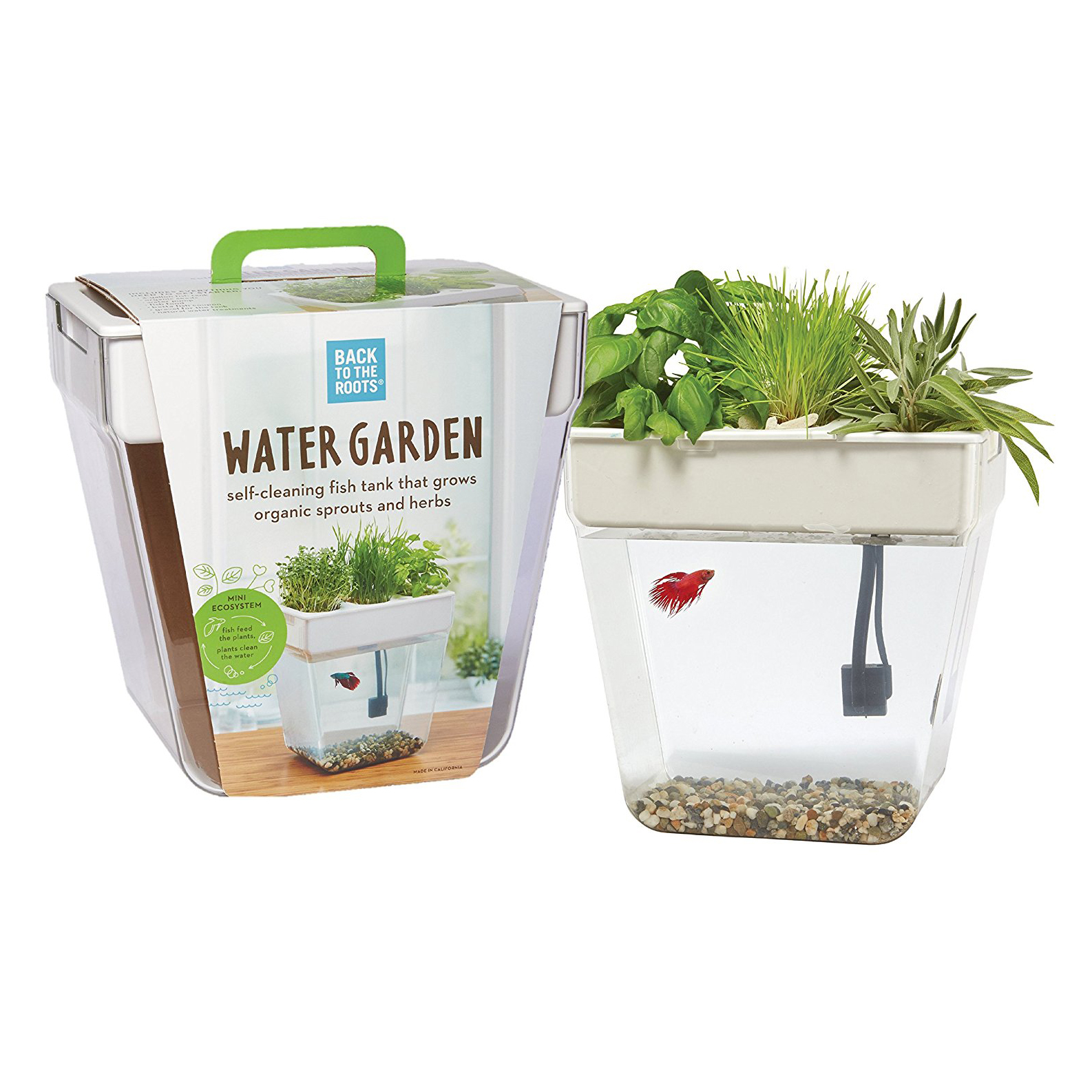 Back to the Roots 3 Gal. Self-Cleaning Aquaponic Water 