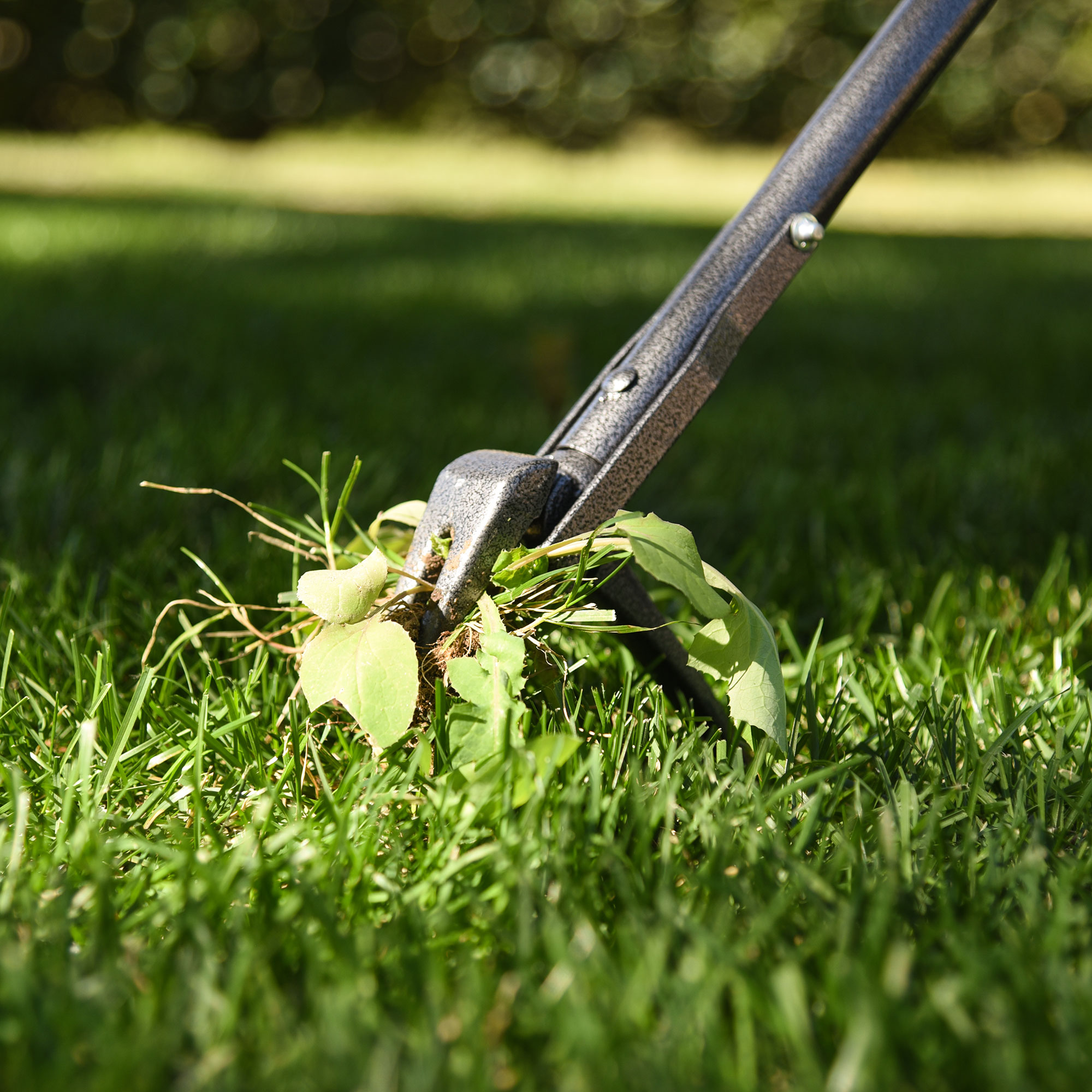 Yard Butler IRKT1000 Rocket Weeder Long Handled Dandelion Weed Remover