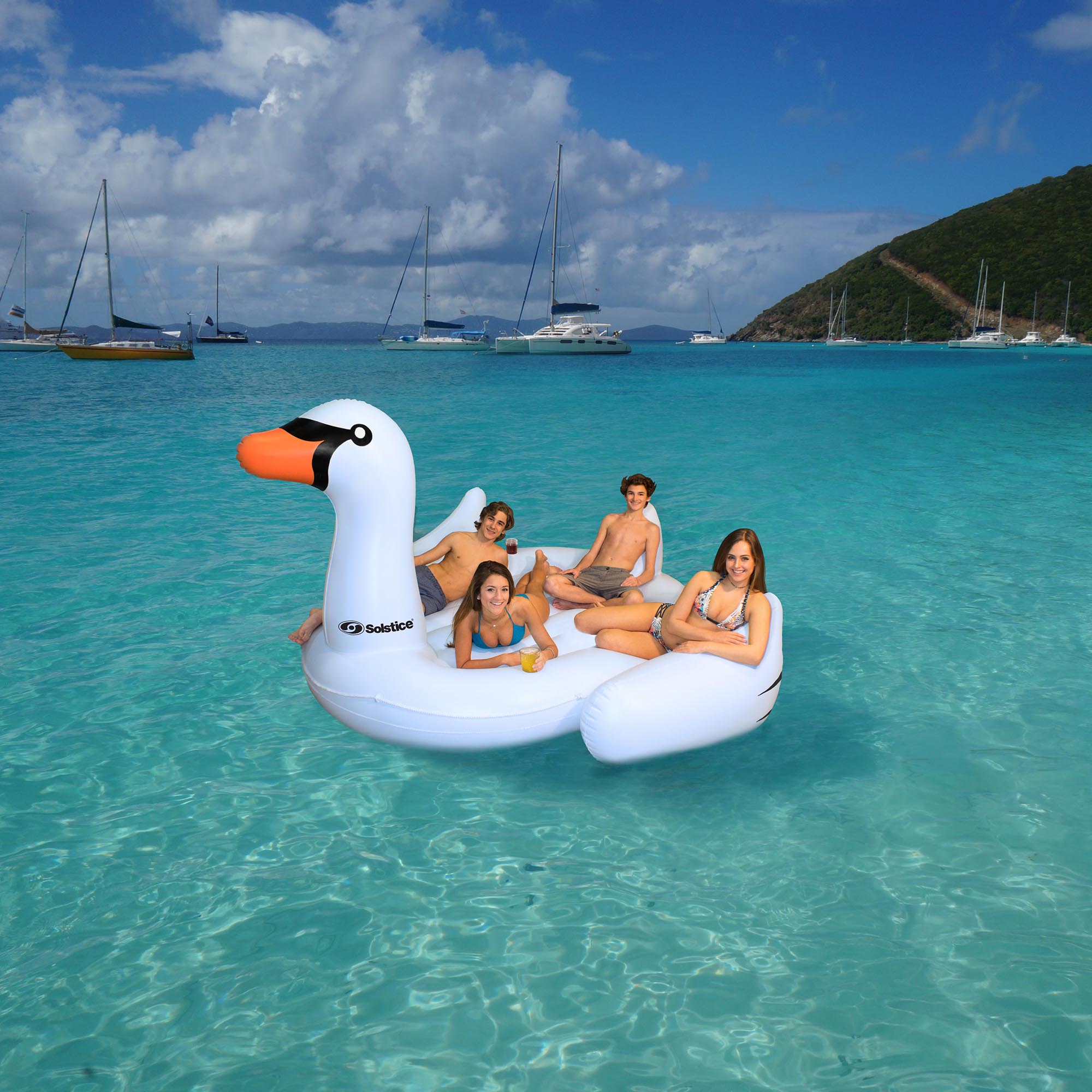 swan raft