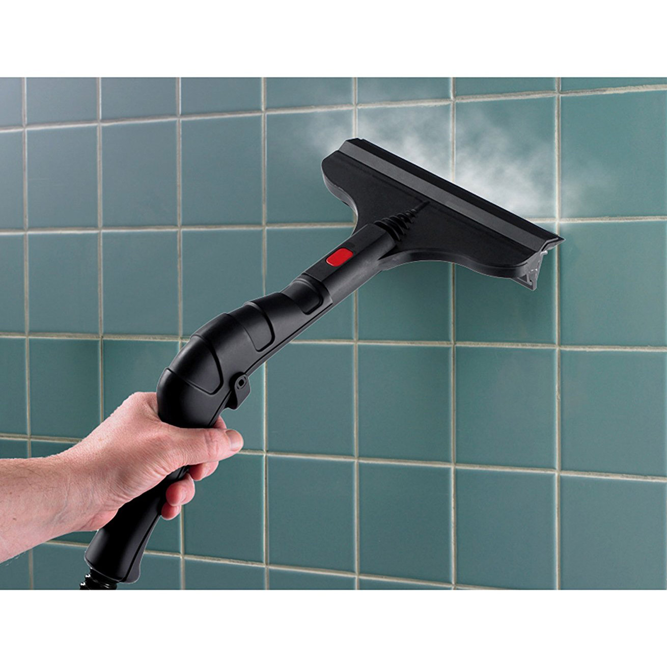 Wagner Spraytech 915 On Demand Pressurized Power Steamer & Wallpaper