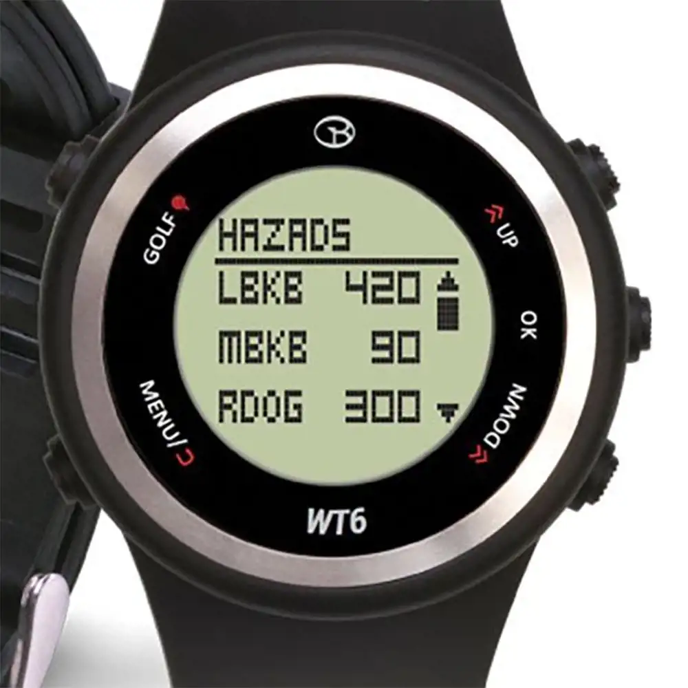 golf buddy wt6 set time